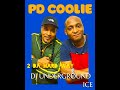 DJ Underground Ice & PD Coolie - Party Vibes PT 1 Venture FM.CO.UK 14.06.24