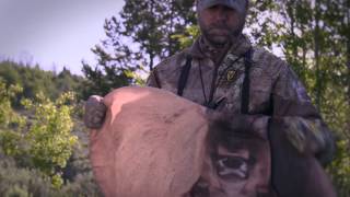 Eichler Elk Decoy