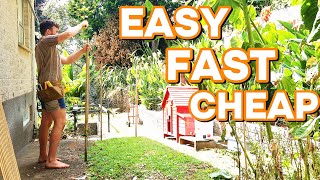 DIY chicken run in a small space: chicken coop in the city