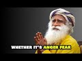 how to escape the cycle of stress anxiety and misery sadhguru