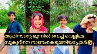 ആമിനാന്റെ മുന്നിൽ വെച്ച് വെല്ലിമ്മ സുകൂറിനെ നാണംകെടുത്തിയപ്പോൾ🤣#shibinvlogtube