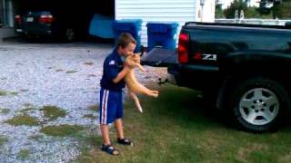 Kid throwing kitten