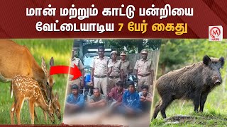 மான் மற்றும் காட்டு பன்றியை வேட்டையாடிய 7 பேர் கைது | Cuddalore | Deer and Wild Boar