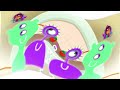 الجزرة (توزيع جديد) - طيور بيبي Toyor Baby In A Major