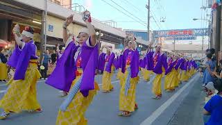 よさこい2018愛宕商店街　だるま