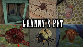 Granny's all pet vs weapons 😂😂