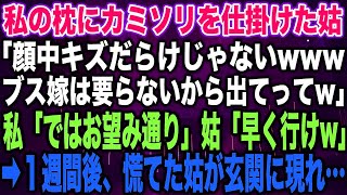 【スカッとする話】私の枕にカミソリを仕掛けた姑「顔中キズだらけじゃないwwwブス嫁は要らないから出てってw」私「ではお望み通り」姑「早く行けw」➡︎１週間後、慌てた姑が玄関に現れ…