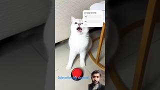 Cat torchar Nika short video viral #cat #diy #cats #scared #scaredcats #spookycat #youtubeshorts