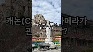 캐논(Canon) 카메라가 관세음보살? #불교 #캐논 #canon #카메라 #캐논카메라 #칸논 #관세음보살 #관음보살 #관자재보살 #당나라 #삼장법사 #당태종 #나무관세음보살