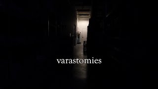 Varastomies