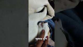 আমার খুশি