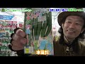 【今年は絶対これ！】春まき野菜の種　ランキング 【カーメン君】【ガーデニング】【初心者】