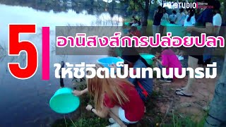 5 อานิสงส์การปล่อยปลาให้ชีวิตเป็นทานบารมี ได้บุญมากอย่างนี้!!!