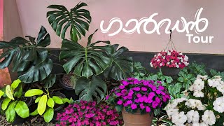 Garden Tour 😍 | എന്റെ വീട്ടുമുറ്റത്തെ ചെടികൾ