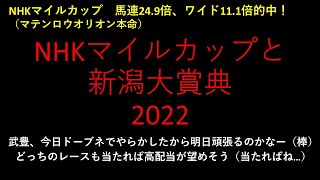 【競馬予想】5/8NHKマイルカップと5/8新潟大賞典2022【重賞予想】