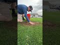 easy fix lawn patch repair