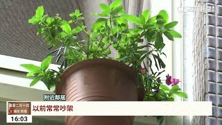 不滿哥哥錢花太兇！　狠弟殺兄「喊早想這樣做」｜華視台語新聞 2023.04.04