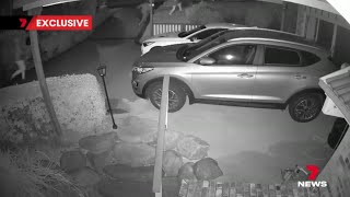 Grandfather Scares Off Thieves with High-Tech CCTV System