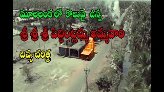 శ్రీ శ్రీ శ్రీ పెద్దింట్లమ్మ అమ్మవారి దివ్య చరిత్ర