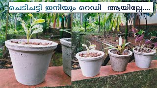 ചെടിചട്ടി ഇത്റ simple ആയിരുന്നോ.../ Flower pot making / simple flower pot / chedichatti malayalam