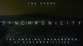 Synchronicity: The Amazing Phenomenon of Synchronicities [The Spore]