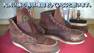 明けましておめでとうございます。②95年製REDWING875半円犬タグ　現状確認