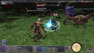 FFXI Horizon BST solo vs Aquarius (After Rebase)