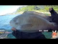 水湳洞神秘海溝 釣況分享 wild fishing in taiwan. 嘟嘟釣魚狂 181 2022 06 20