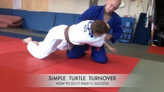 simple TURTLE TURNOVER (as taught by Y.Yamashita Sensei)