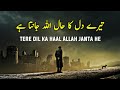 Tere Dil Ka Haal Sirf ALLAH Janta He | Beautiful Spiritual Quotes | Listen the Islam Q.K