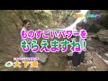 浜松山里・いきいきレポート －２８：佐久間・大下滝ー（１０月９日～１１日放送分）