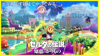 【雑談LIVE】「ゼルダの伝説〜知恵の借りもの〜」初見でやってみる