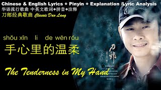 刀郎 手心里的温柔 拼音歌词 歌词解析 英文歌词 华语歌曲中英文歌词Dao Lang Tenderness in Our Hands English Lyrics/Lyrics Translation