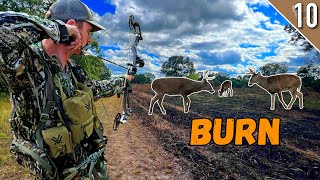 BOW HUNTING a fresh BURN 🔥 (Public Land Deer Hunt)