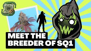 Wanna Know Who's Behind Square 1 Genetics \u0026 Robin Hood Seeds? Meet Breeder THC TITAN!