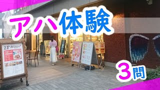 【脳トレ】アハ体験動画(3問）写真の一部が少しずつ変化するよ。ひまつぶし・脳トレにどうぞ！！