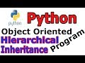 Hierarchical Inheritance In Python Object Oriented Programming #21