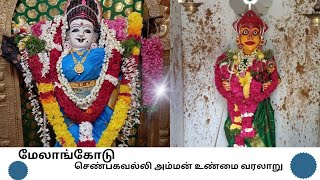 மேலாங்கோடு செண்பகவல்லி அம்மன் உண்மை வரலாறு #kanyakumaritemple##குலதெய்வம்#இசக்கியம்மன்#அம்மன்