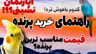 راهنمای خرید پرنده:بررسی قیمت پرندگان‌ خانگی، پرندگان مناسب آپارتمان نشین ها و باهوش ترین پرندگان