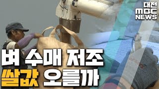 쌀 수확 줄고 가격상승 기대에 벼 수매 저조/대전MBC