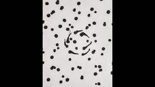 Flipping dots - Roberta Dragone