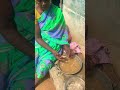 ⁉️🙄கிராமத்து வாழ்க்கை குட்டி இறால் சுத்தம் செய்தல்👌😱 shorts ytshorts shortvideo villagelife