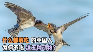 什么都敢吃的中国人，为何不吃这五种动物？难道是不好吃？