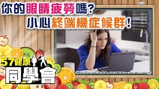 你的眼睛疲勞嗎？小心終端機症候群！【57健康同學會】第024集 -2010年