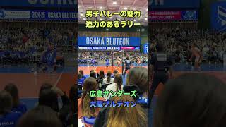 【大阪ブルテオン】男子バレーの魅力は迫力のあるラリーだ!!　 #バレーボール #volleyball    #japanvolleyball