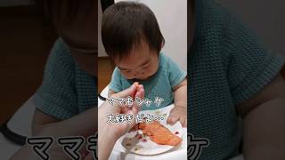 《生後九ヶ月》美味しすぎる鮭#日常#生後9ヶ月#成長#子供#0歳#shortvideo#癒し#癒し#あかちゃんのいる生活#ショート#育児#short#shorts#赤ちゃん#親子#成長記録#食事#食物