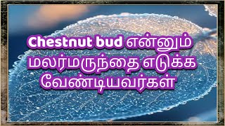 Dalir malar channel ,Chestnut bud எடுக்க வேண்டியவர்கள் #bachflowerremedies  #alternativemedicine