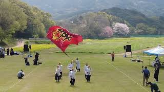 西京華伝隊　2024川棚菜の花よさこい祭り メインパレード