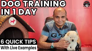 Easy Puppy or Dog Training in 1 Day || 6 Quick Tricks \u0026 Tips with LIVE Example || Baadal Bhandaari