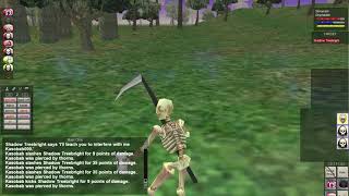 Best exp and plat farming camp level 35-40 / Everquest Project 1999 green P99 / Dark Elf Necro LVL42